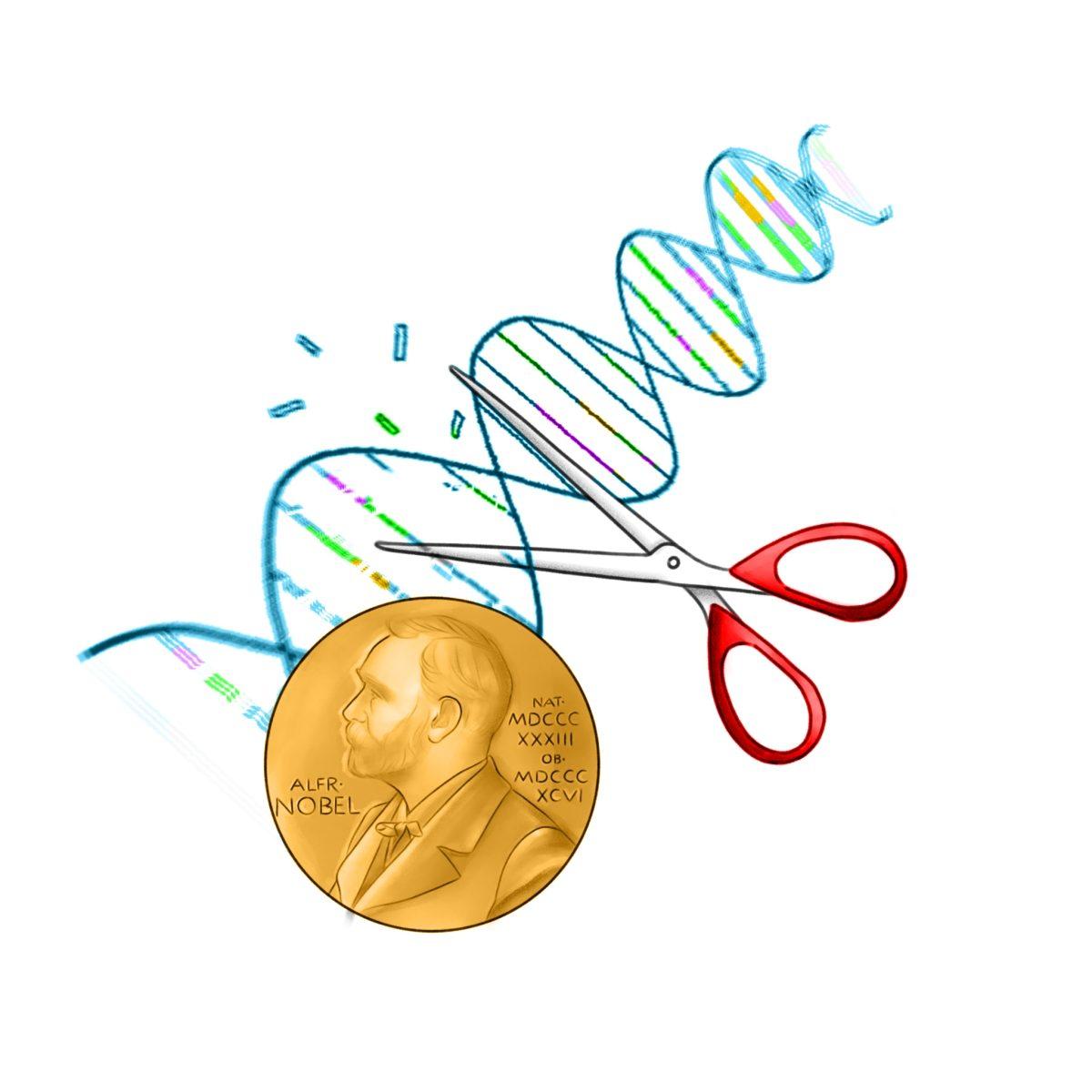 Female scientists win Nobel Prize for groundbreaking work on CRISPR