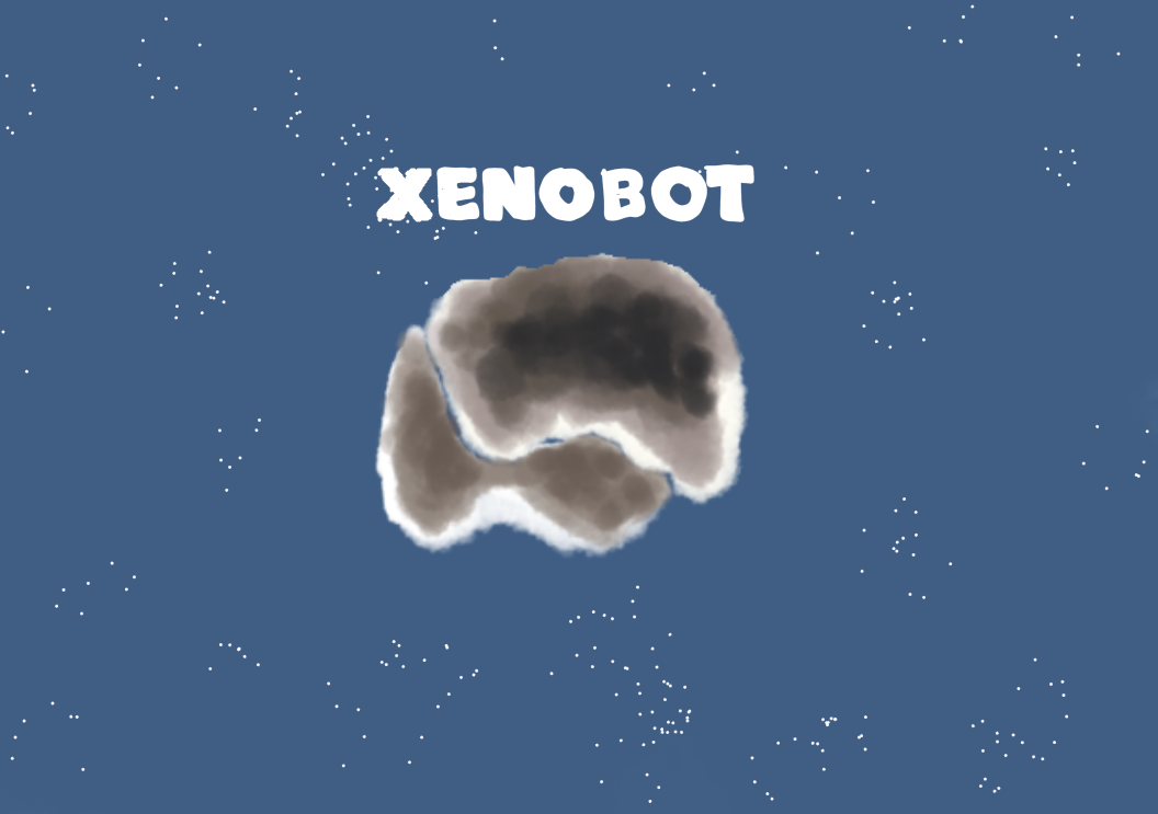 Researchers create microscopic synthetic life form "xenobot"