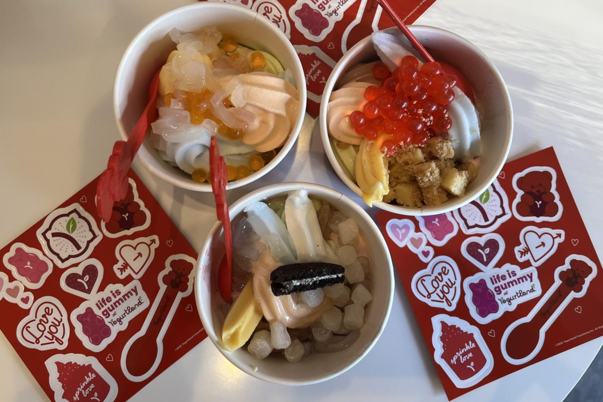 Assorted frozen yogurts at Yogurtland.