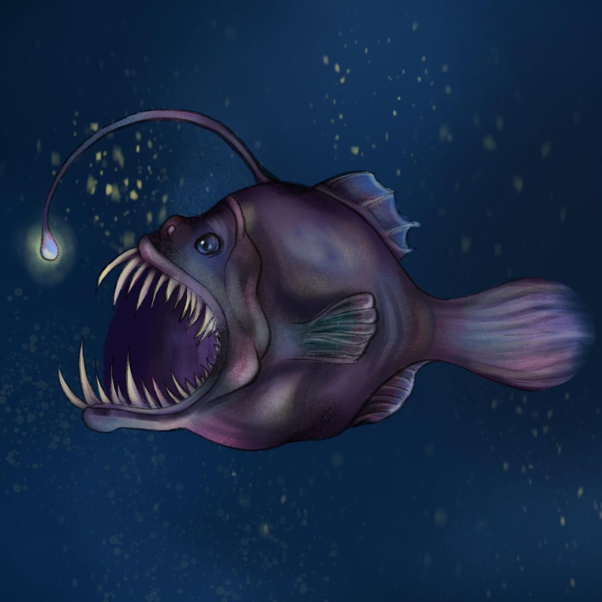 An anglerfish swimming in the twilight zone.