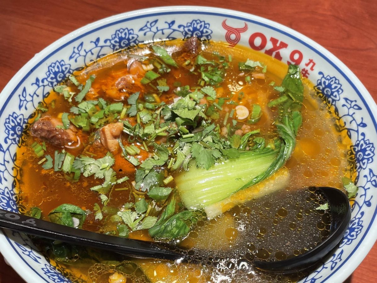 Stewed pork rib noodles.