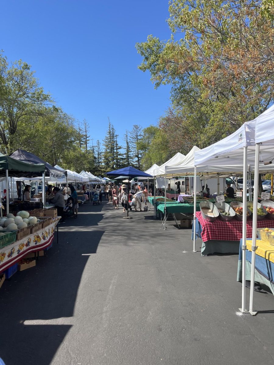 Line of vendors at Saratoga Farmers' Market.