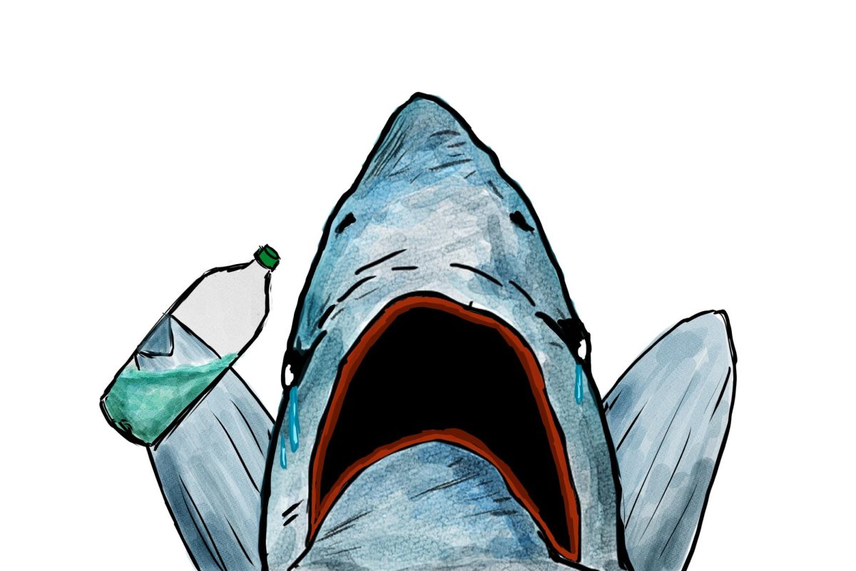 A shark cries because it has no teeth.