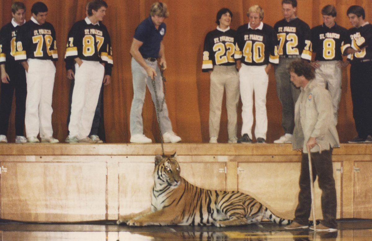 Football players watch as the tiger rests on the gym floor.