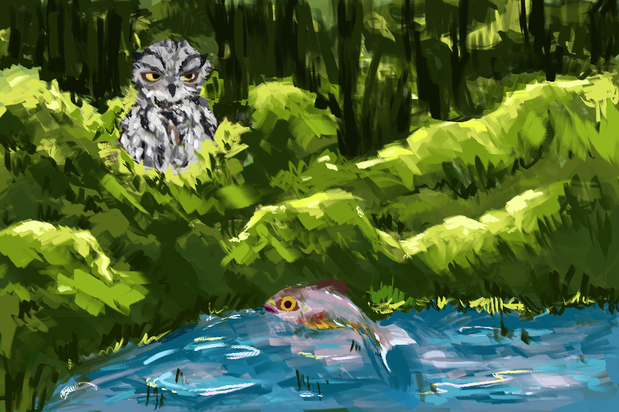 The Western Screech Owl scrutinizes its prey.