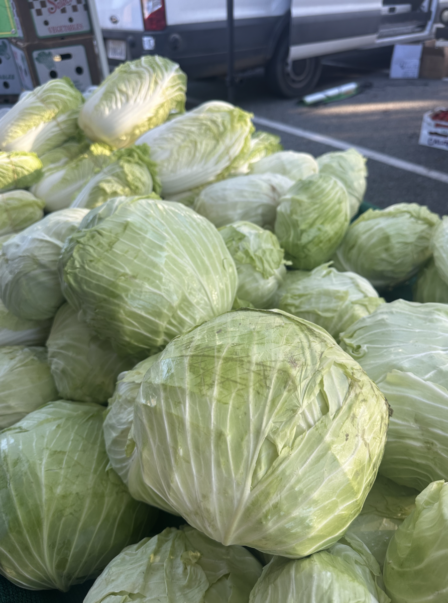 Cabbage from Her Farms.