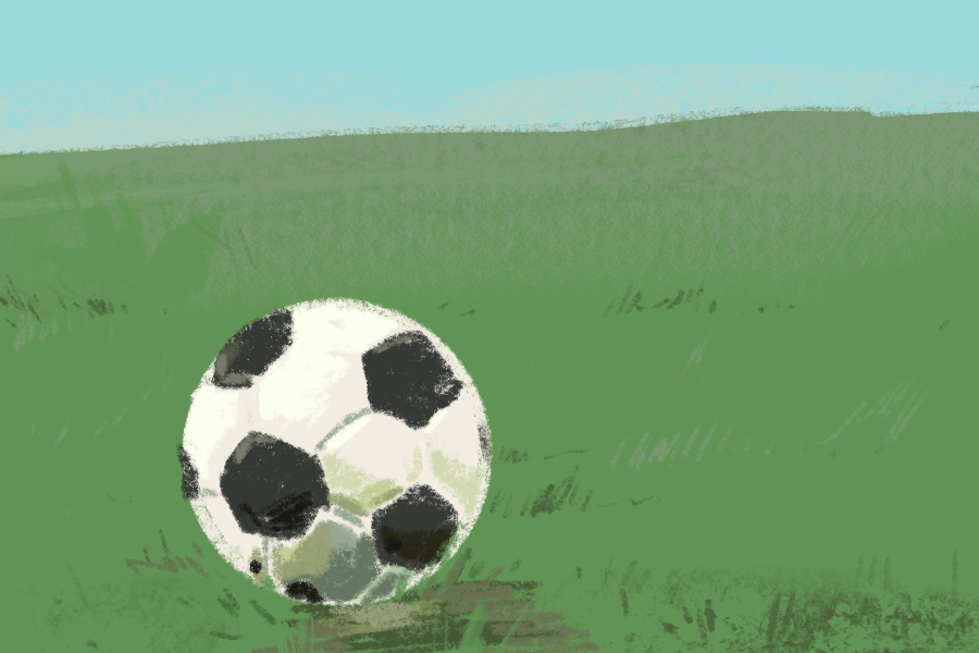Soccer ball on the field.