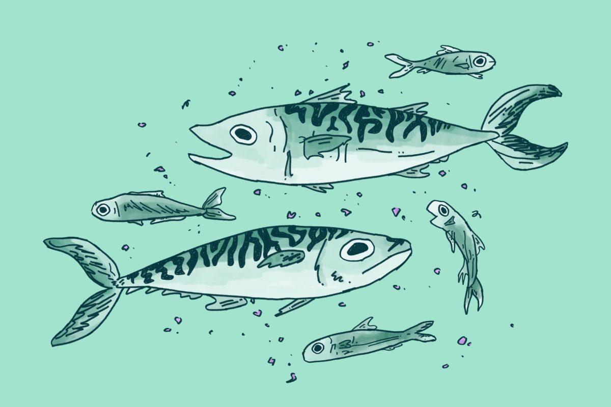 Mackerel and sardines swimming in microplastics.