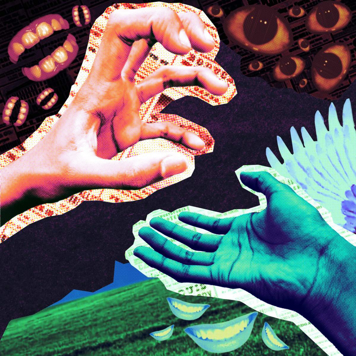 What is true freedom?