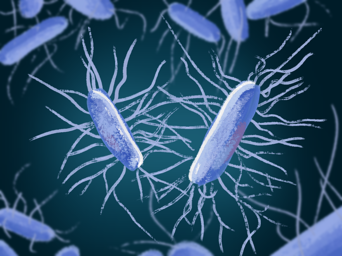 Artist’s rendering of cancer-eating bacteria.