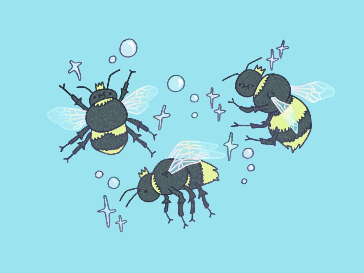 Queen bees swimming in water.