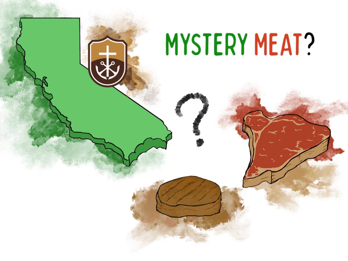 Mystery meat coming to lunch soon.