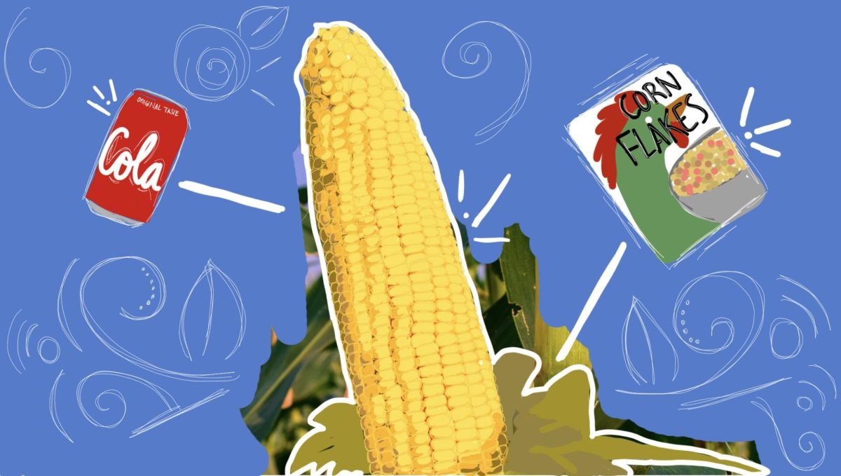 Corn and corn-based products.